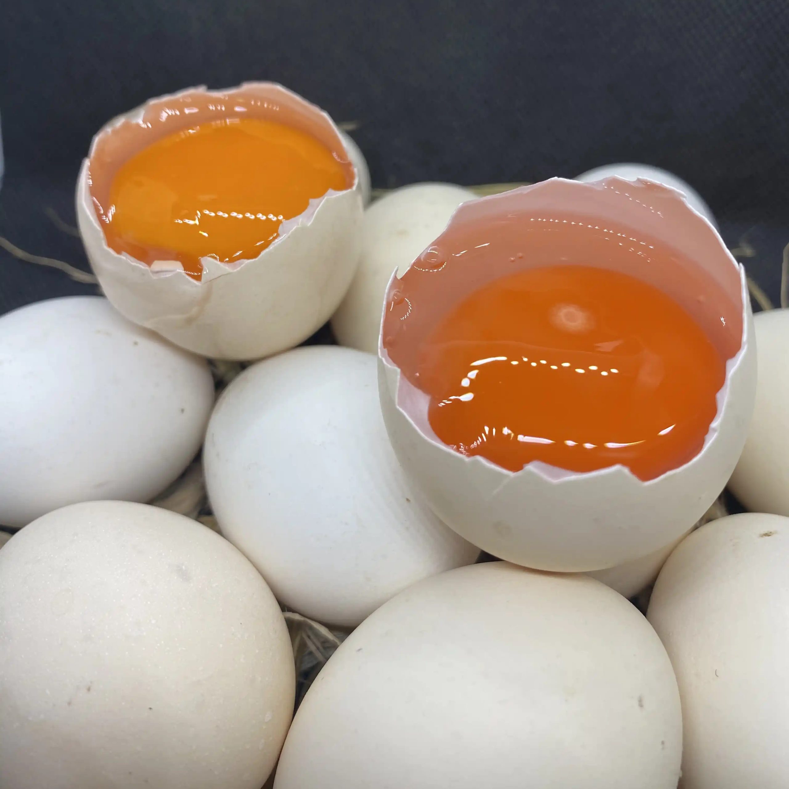 TELUR AYAM KAMPUNG