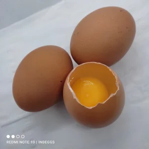 TELUR AYAM NEGRI