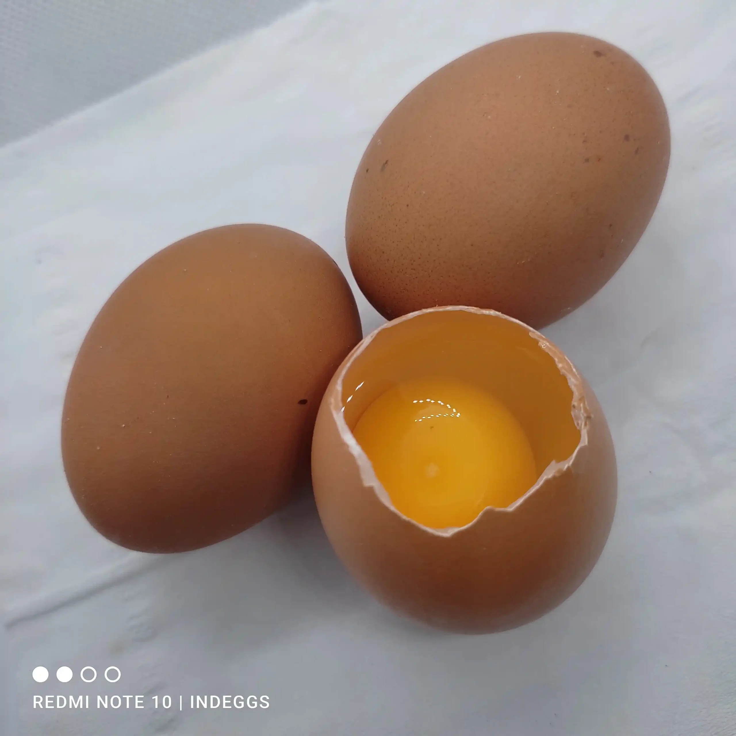 TELUR AYAM NEGRI