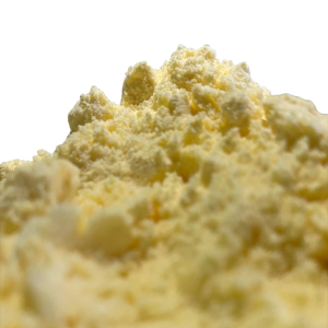 SALTED EGG YOLK POWDER