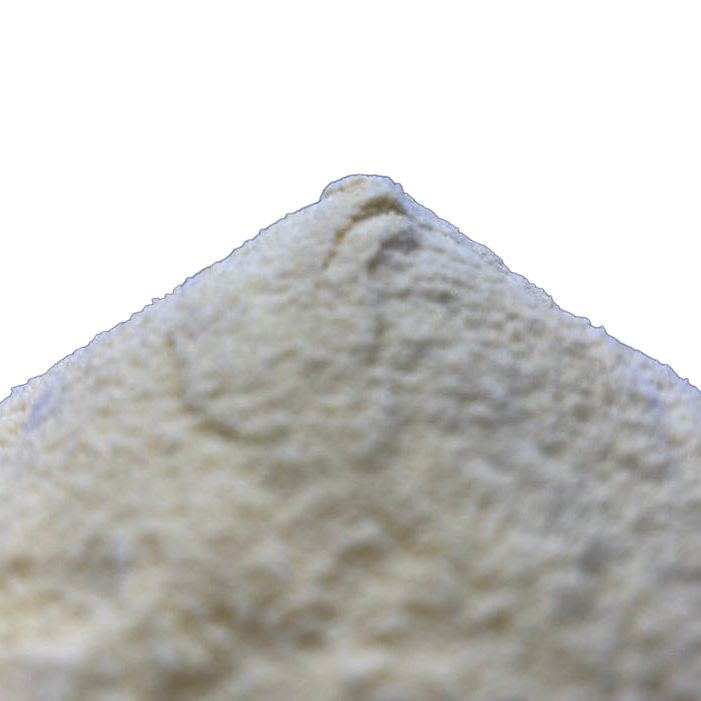 EGG ALBUMIN POWDER